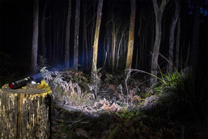 Load image into Gallery viewer, ARB - 10500070 - Pureview 800 Flashlight
