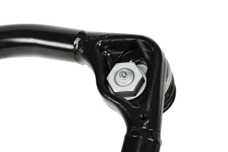 Load image into Gallery viewer, Photo - Close Up
